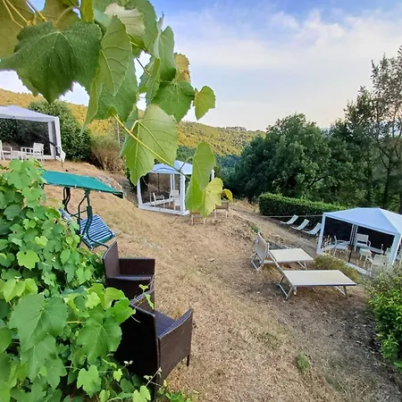 Agriturismo Casentino Farm stay *